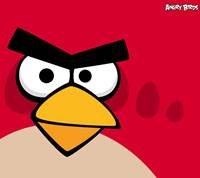 pic for Angry Birds 1440x1280